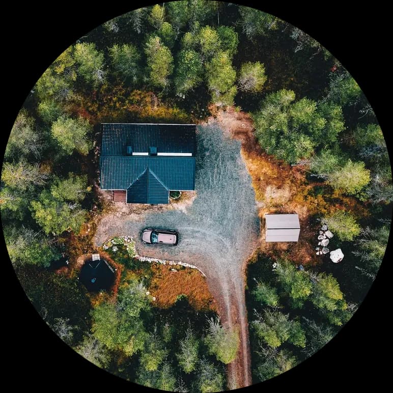 Aerial view of protected vegetation and tree canopy